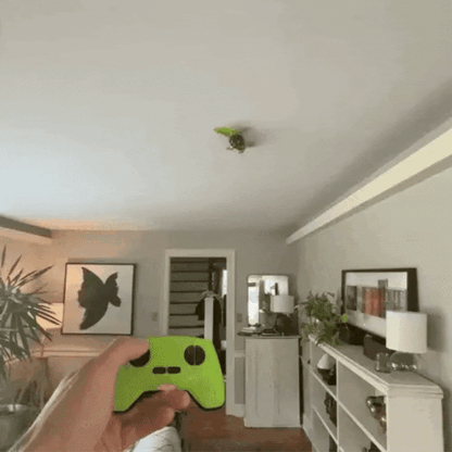 Wall Crawler Gecko Toy