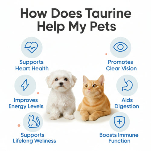 PureSupps™ Taurine Supplement