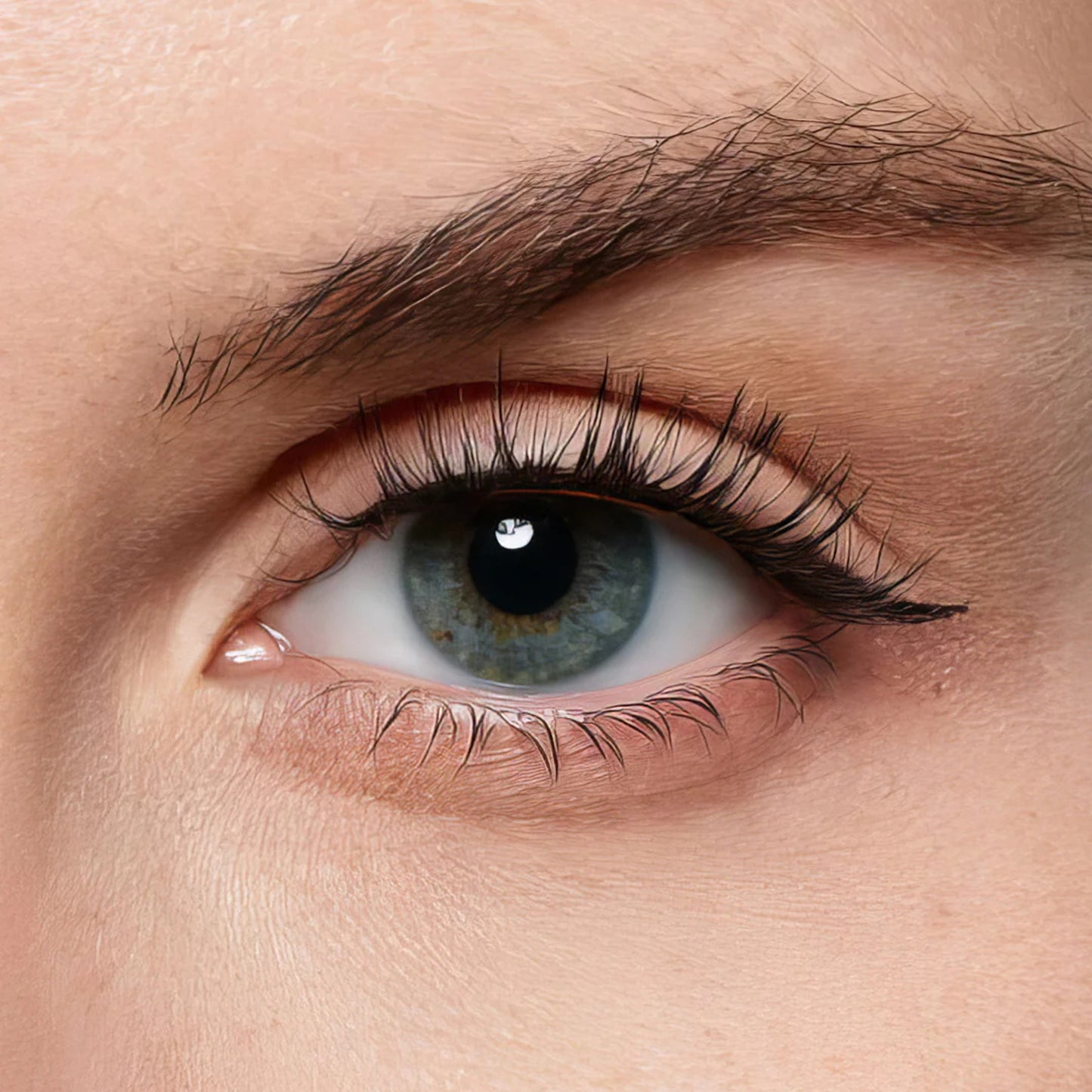 FREE Magnetic Eyelashes