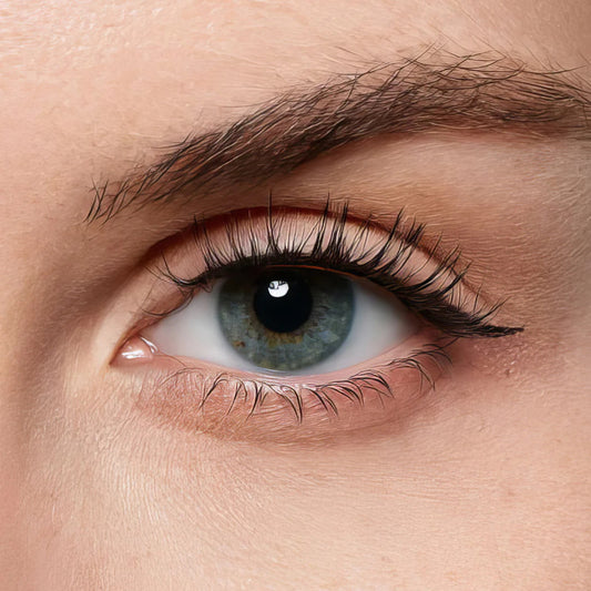 FREE Magnetic Eyelashes