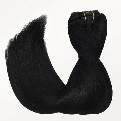 Classic Clip in Hair Extensions